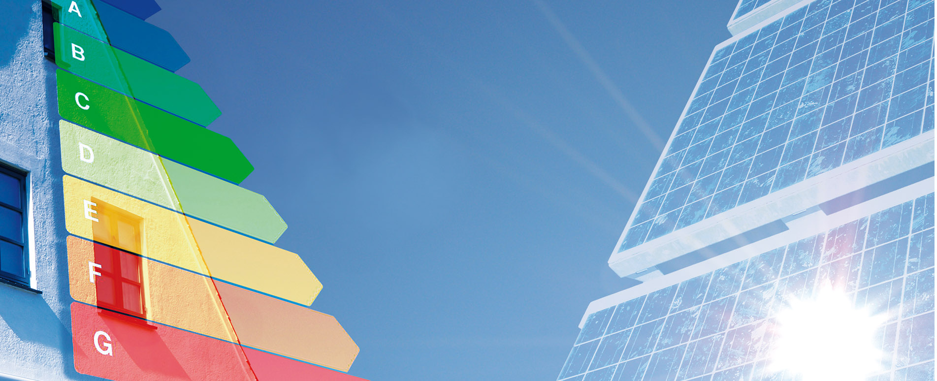 Banner - Daniel Elbers